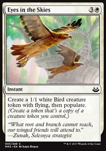 Mtg eyes the - in,